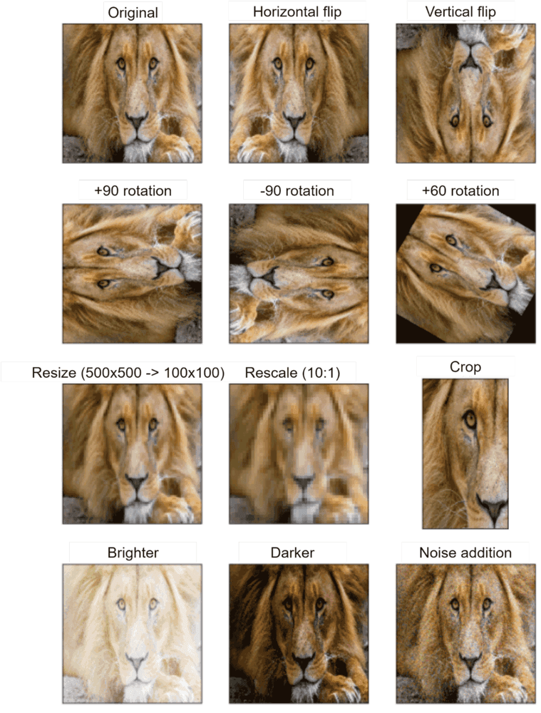 Image represents a grid showcasing various data augmentation techniques applied to a single image of a lion.  The top row displays the original lion image and its horizontal and vertical flips. The second row shows the image rotated by +90, -90, and +60 degrees respectively. The third row demonstrates resizing (reducing the image dimensions from 500x500 to 100x100 pixels), rescaling (reducing the resolution by a factor of 10:1), and cropping a section of the original image. Finally, the bottom row illustrates adjustments to brightness (making the image brighter), darkness (making the image darker), and the addition of noise to the image, resulting in a grainy appearance. Each image is clearly labeled with the applied transformation, providing a visual comparison of the original image and its augmented versions.