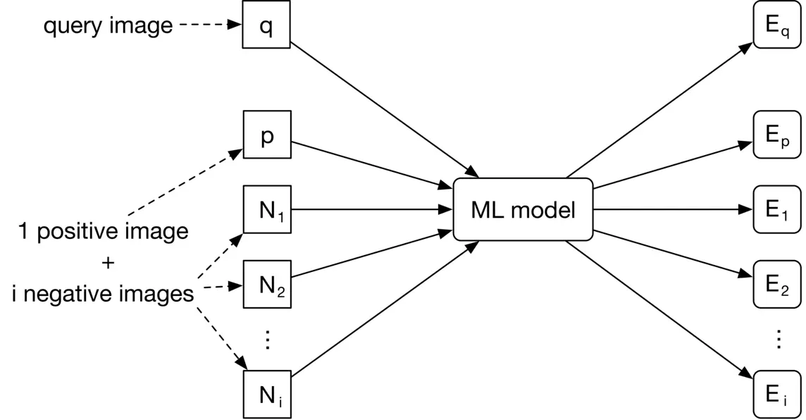 Image represents a machine learning model training and inference pipeline for image similarity.  A query image, labeled 'q', is input along with a set of images: one positive image ('p') and 'i' negative images (N₁, N₂, ..., Nᵢ).  These images are fed into an 'ML model', which processes them.  The model's output consists of embedding vectors: E<sub>q</sub> (embedding for the query image), E<sub>p</sub> (embedding for the positive image), and E₁, E₂, ..., Eᵢ (embeddings for the negative images).  The dashed lines indicate that the positive and negative images are used for training the model, while the solid lines show the flow of data during inference.  The 'ML model' learns to generate embeddings such that similar images have closer embedding vectors in the embedding space.
