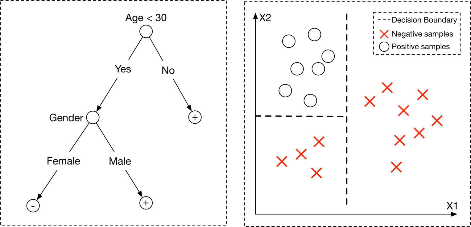 Image represents a comparison of a decision tree and its corresponding decision boundary in a two-dimensional feature space.  The left side shows a decision tree where the root node is 'Age < 30'.  A 'Yes' branch leads to a 'Gender' node, which further branches into 'Female' (leading to a leaf node labeled '-') and 'Male' (leading to a leaf node labeled '+'). A 'No' branch from the root node directly leads to a leaf node labeled '+'.  The leaf nodes represent classifications, with '+' indicating a positive class and '-' indicating a negative class. The right side displays a scatter plot with two features, X1 and X2.  Red 'x' symbols represent negative samples, while white circles represent positive samples. A dashed vertical line acts as the decision boundary, separating the positive and negative samples.  The plot visually demonstrates how the decision tree's rules translate into a linear decision boundary in the feature space.